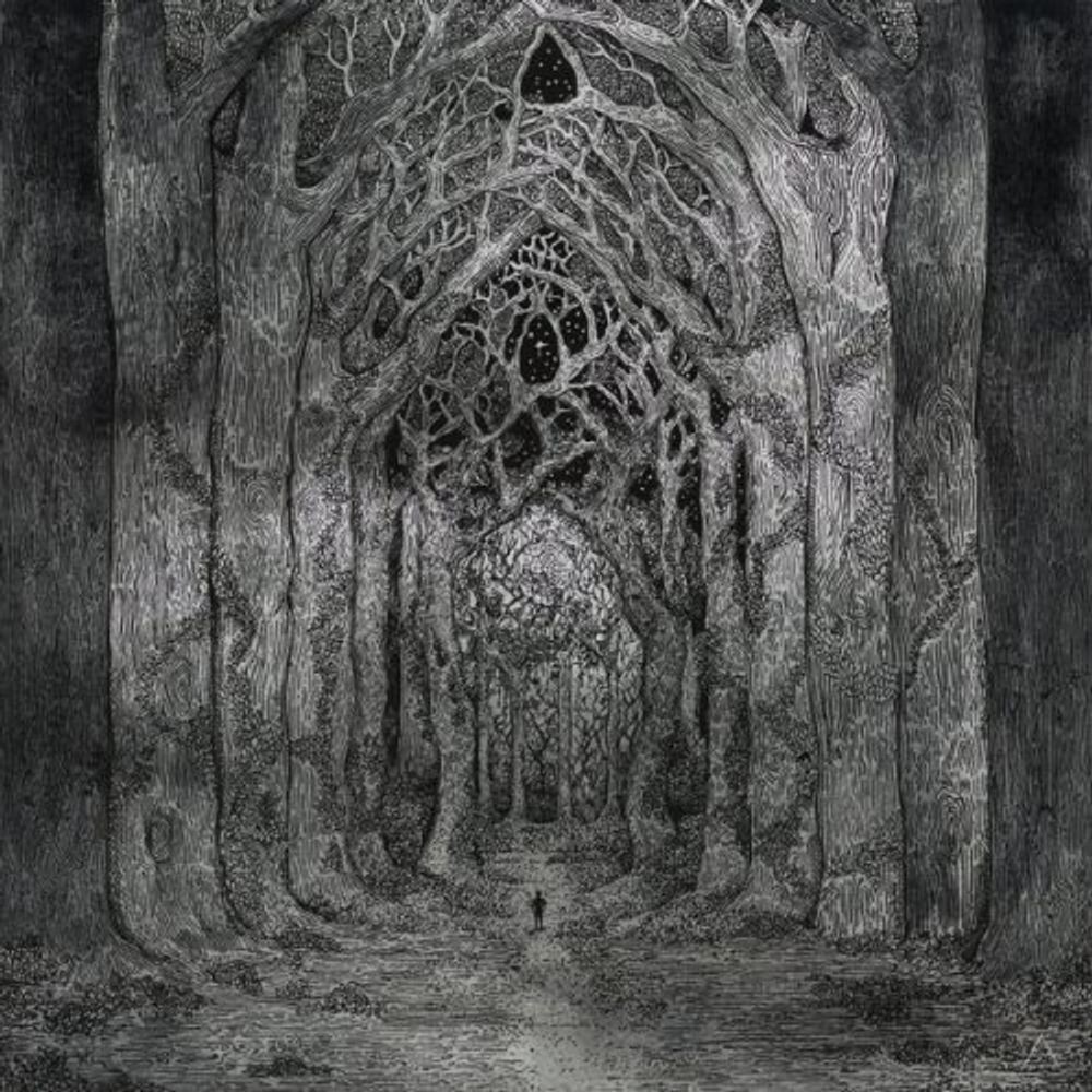 

Виниловая пластинка LP Within The Darkness Between The Starlight - Nhor