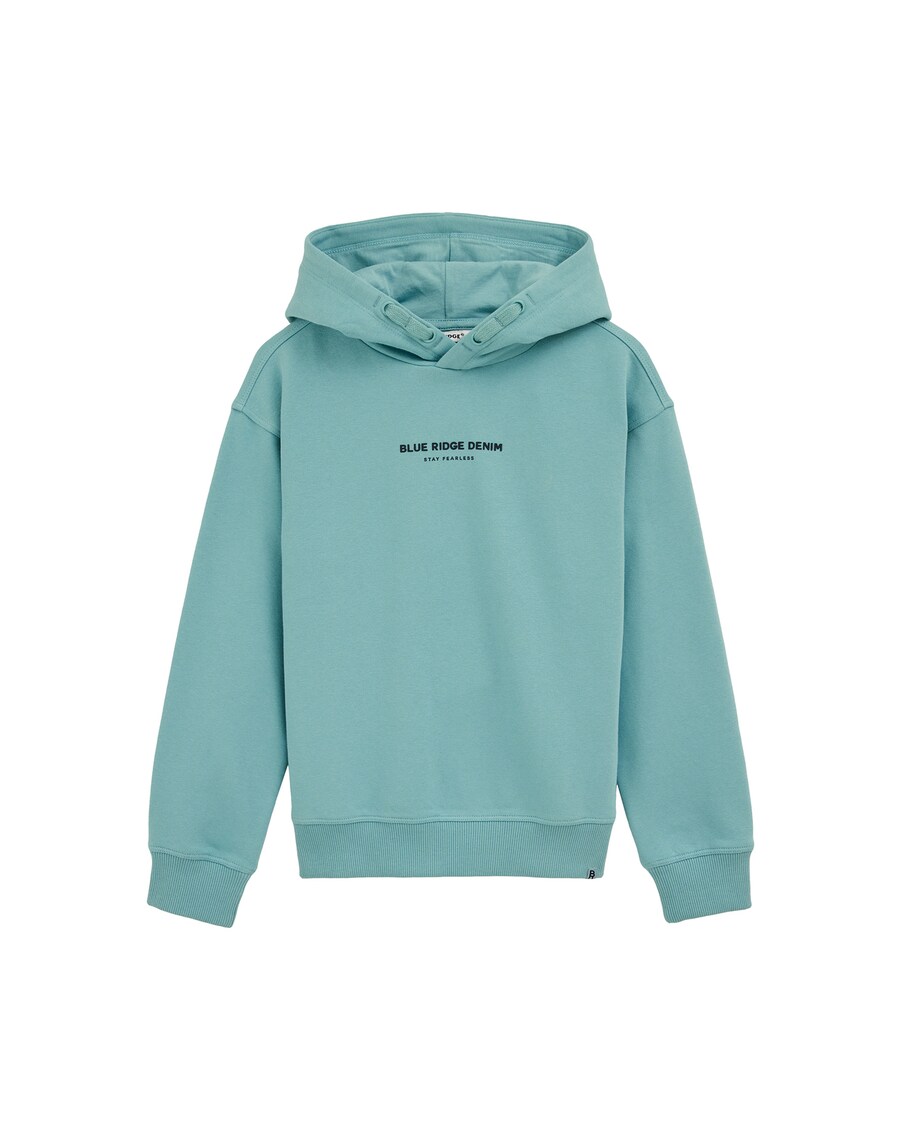 

Толстовка WE Fashion, Blue/Light blue