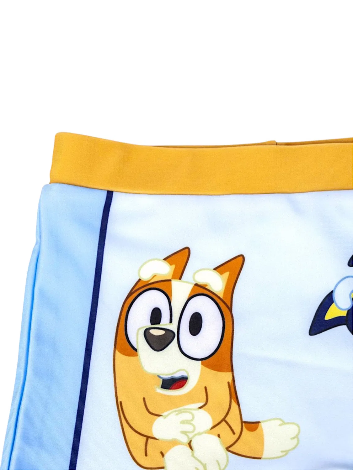 Шорты для серфинга Bluey & Bingo светло-голубого цвета — фото 3