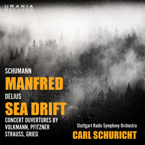 

CD диск Grieg / Schuricht: Sea Drift & Concert Overtures