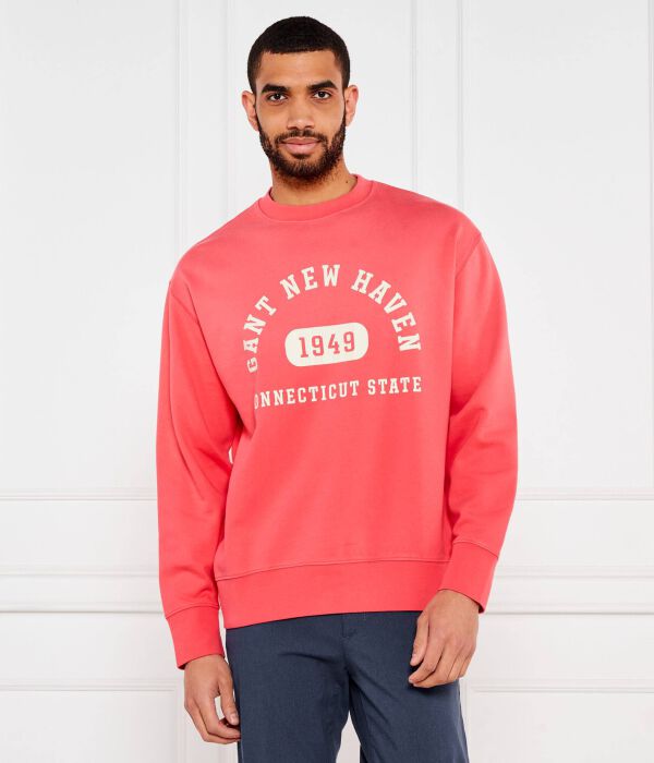 

Графический свитер Relaxed fit Gant, розовый