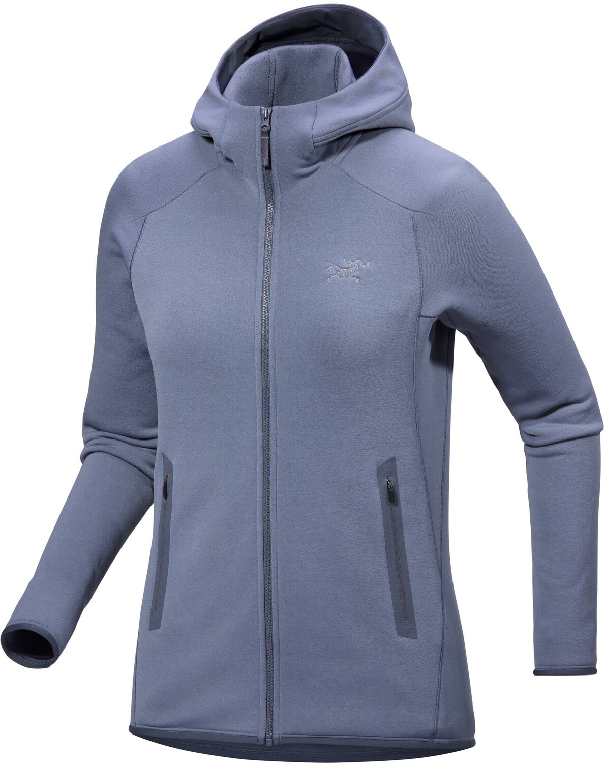 

Флисовая куртка кианит с капюшоном Arcteryx, серый