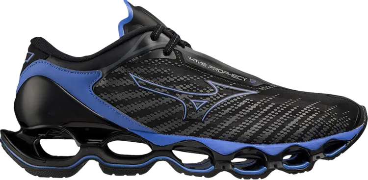 

Кроссовки Wave Prophecy 12 'Black Oyster Blue Ashes', черный