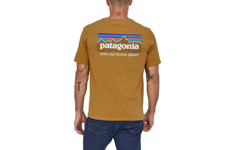 Органическая футболка мужская Patagonia, Шалфейно-зелёная/SLVG — фото 4