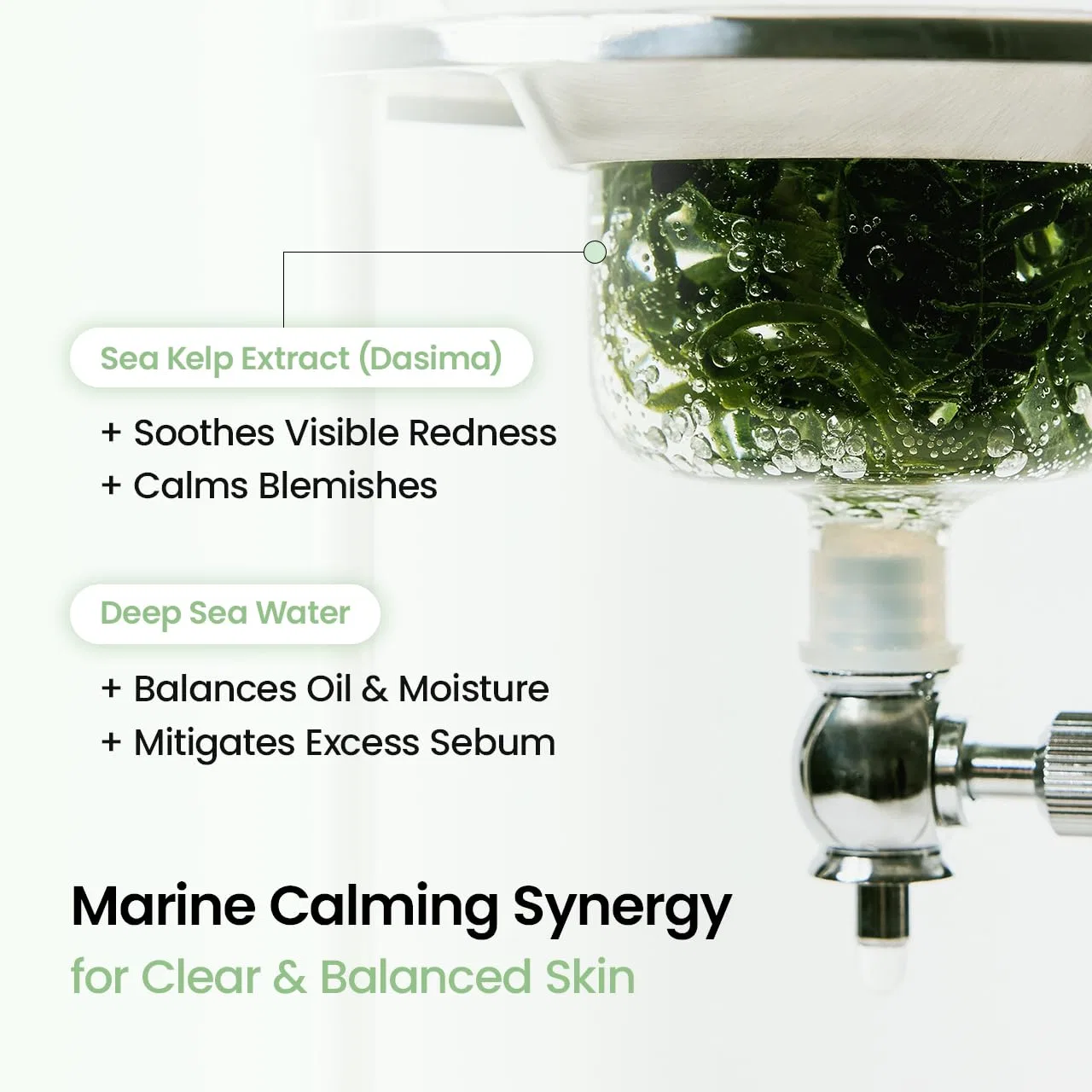 Освежающая гидрогелевая маска «Sea Pole Real Deep Mask» от BIODANCE, 34 г x 4 шт. Biodance, Sea Kelp — фото 4