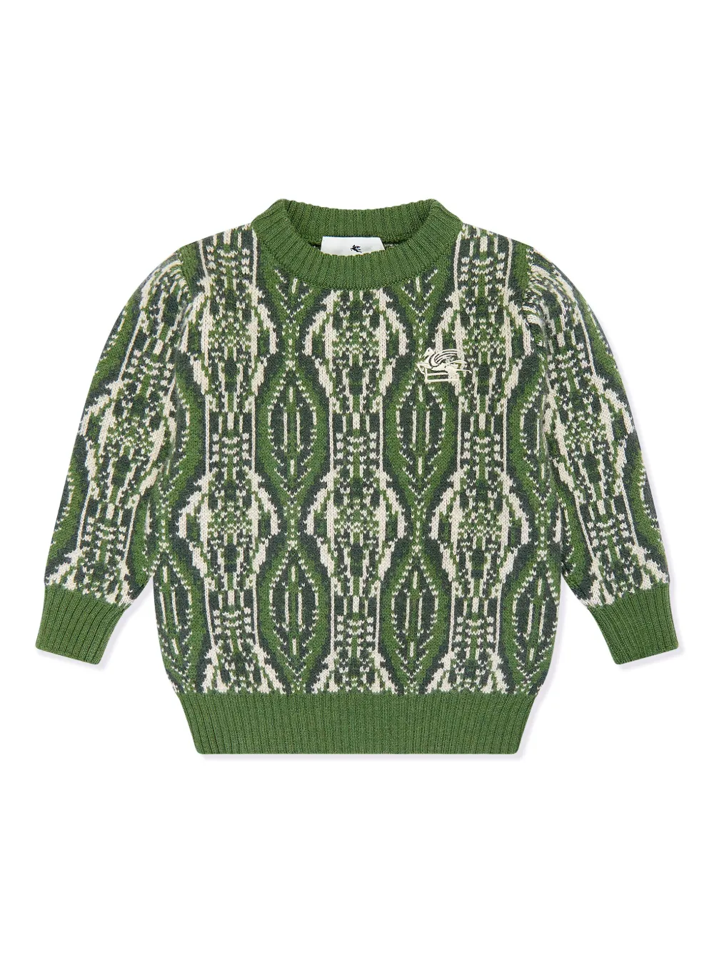 

Джемпер с логотипом ETRO KIDS, зеленый