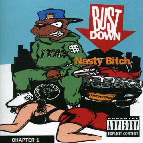 

CD диск Bust Down: Nasty b*tch Chapter One