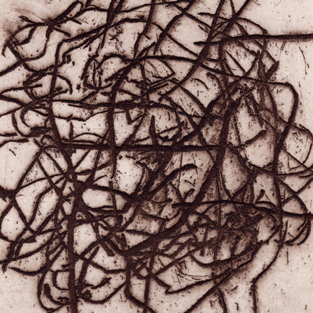 

Виниловая пластинка LP Arrhythmian - K. Leimer, Marc Barreca