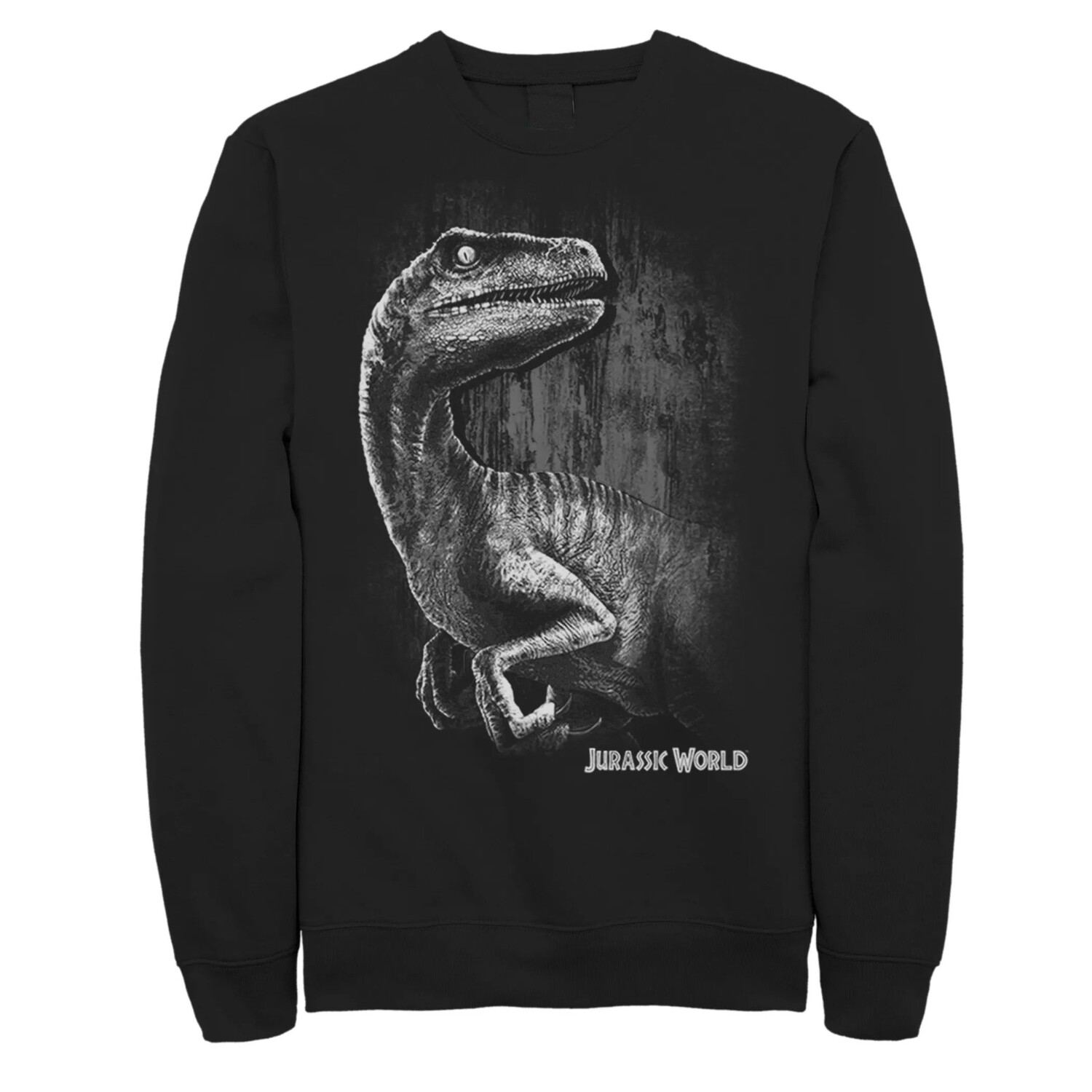 

Мужской свитшот Jurassic World Raptor Smile Licensed Character