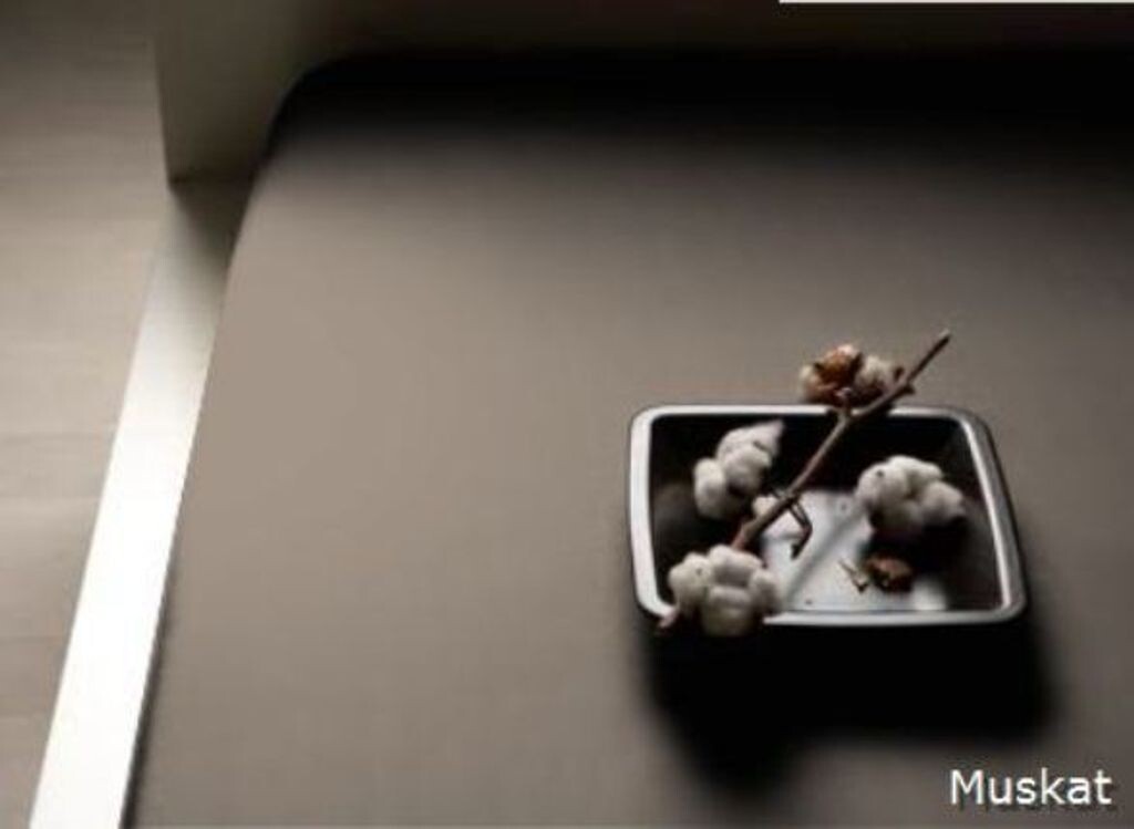 

Bella Donna Alto 140/200-160/220 0122 - мускатный орех Formesse