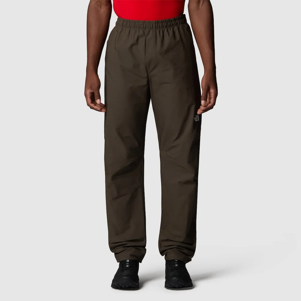 

Мужские брюки из известняка The North Face, зеленый