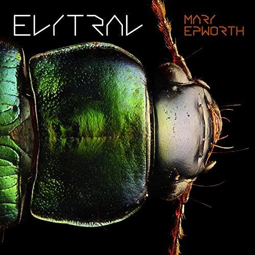 

Виниловая пластинка Epworth, Mary: Elytral