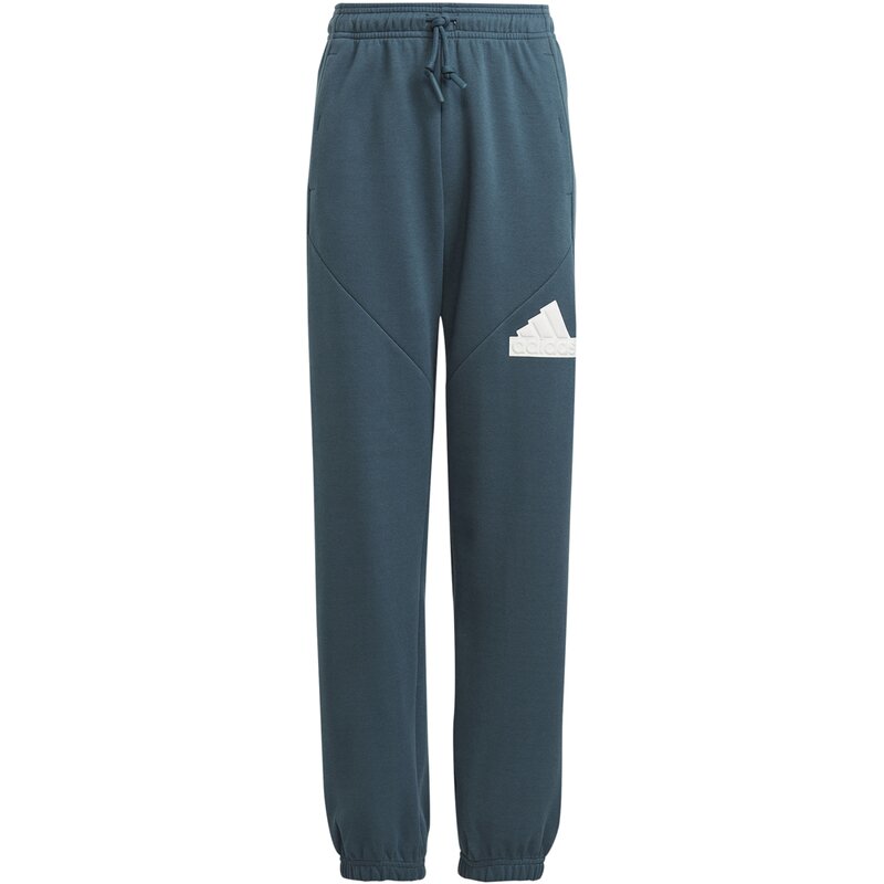 

Логотип Hose Future Icons Adidas, мультиколор