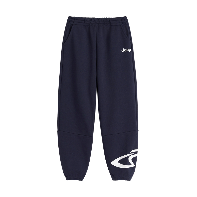 

Детские спортивные штаны Moderate Jeep, темно-синий