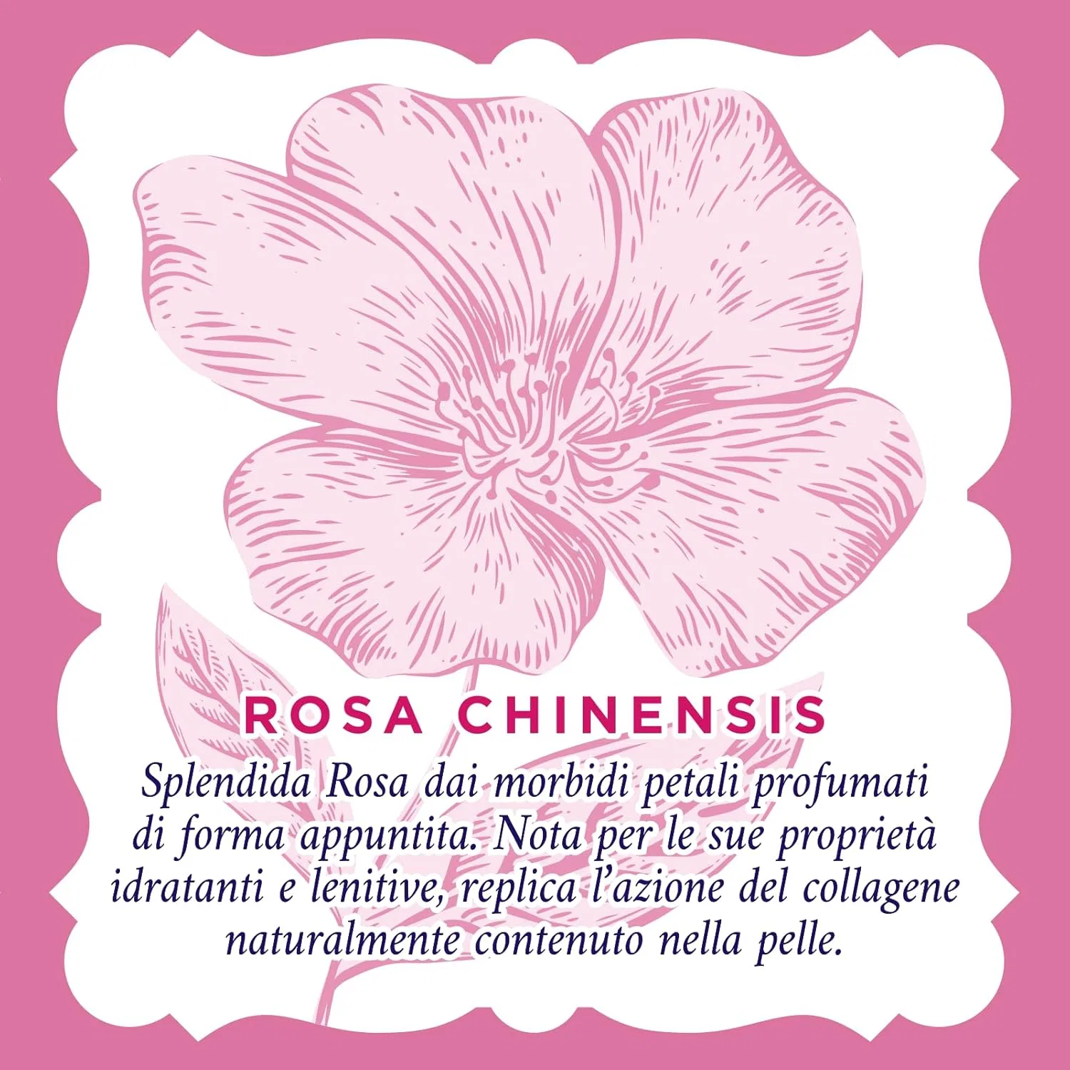 Мицеллярная вода Acqua Alle Rose — Для чувствительной кожи, , White, 200 мл — фото 3
