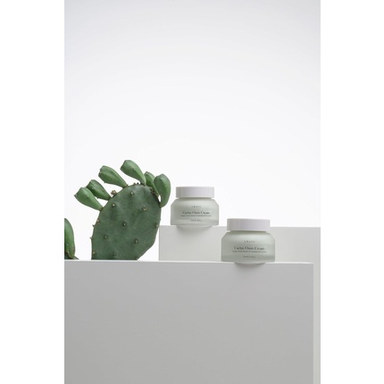 Крем для лица Urang — Cactus Oasis Organic Сертифицированный веганский натуральный защитный барьер для кожи — фото 2