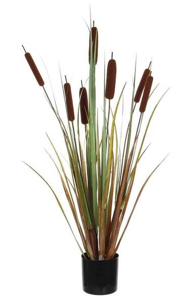 

Декоративное растение Mica Decorations Lisdodde, коричневый