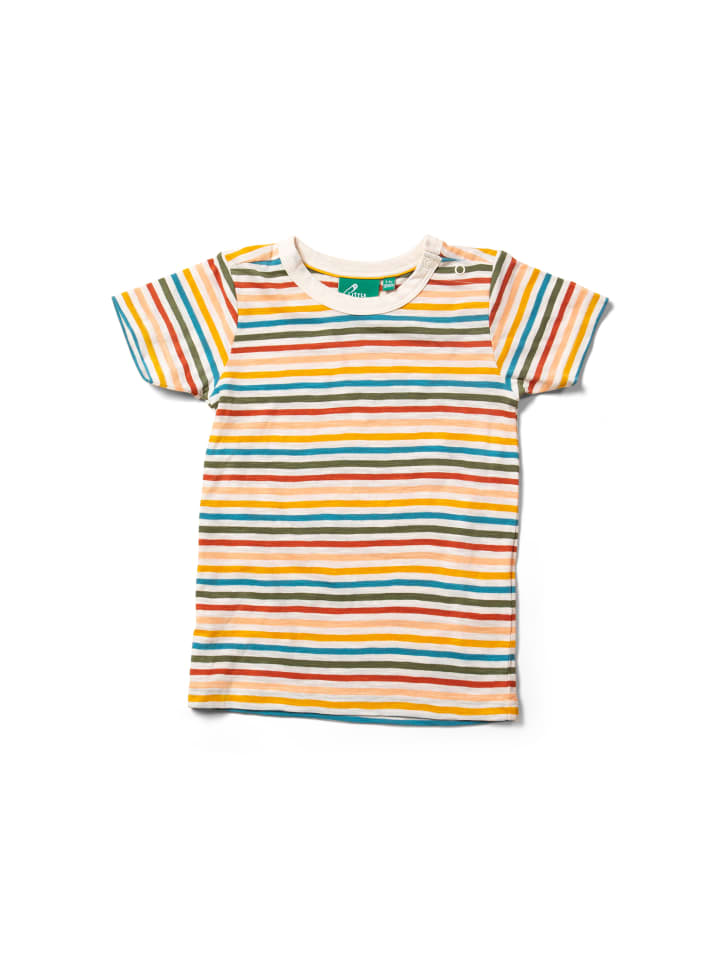 

Футболка Little Green Radicals, красочный