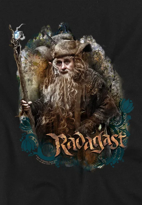 Футболка принтованная The hobbit radagast the brown print t-shirt Cotton Soul, черный — фото 3