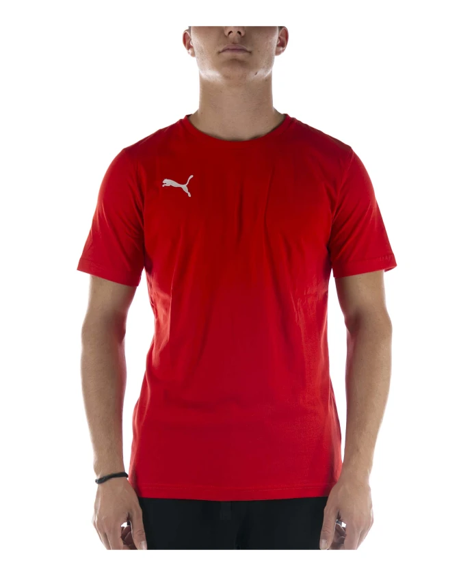

Повседневная футболка Teamgoal 23 Puma, красный