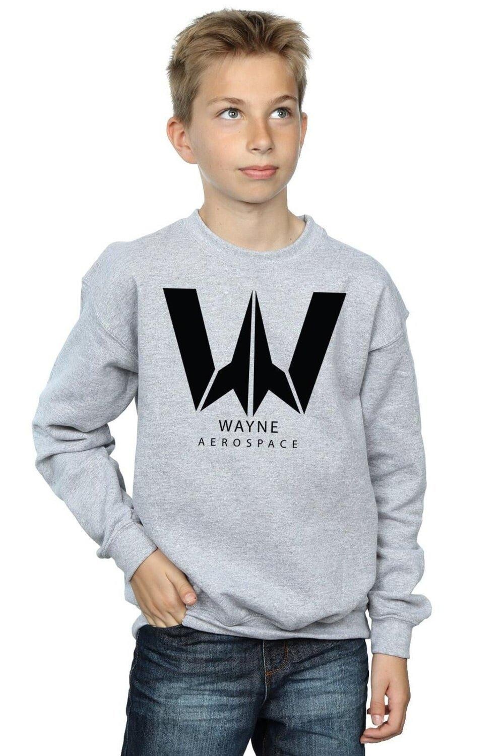 

Толстовка из фильма «Лига справедливости» Wayne Aerospace DC Comics, серый