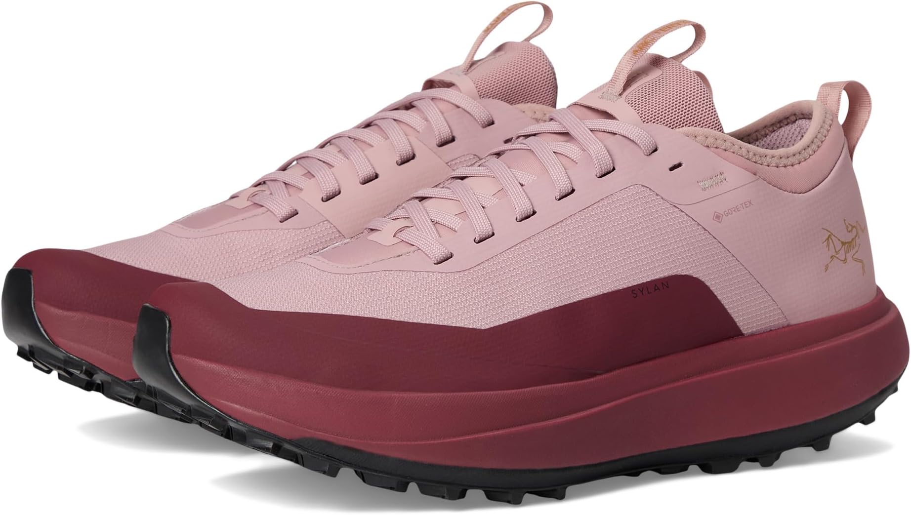 Кроссовки Arc'teryx Women's Sylan GTX, Dark Bliss/Mars