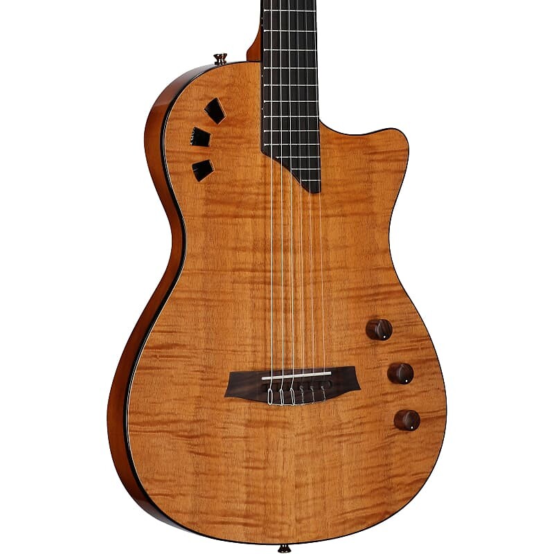 

Акустическая гитара Cordoba Stage Thinbody Classical Acoustic-Electric Guitar, Amber