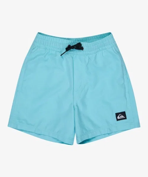 Плавки Quiksilver Everyday Solid VL BO синие