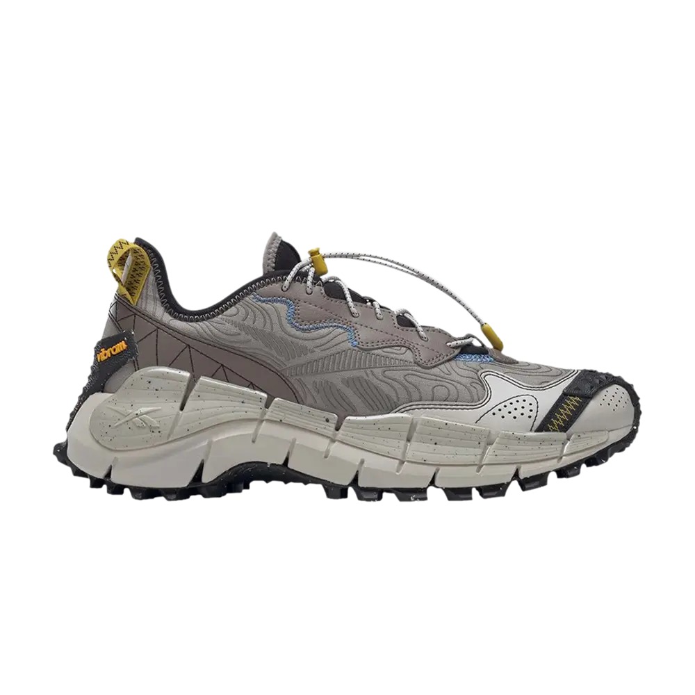 

Кроссовки Wmns Zig Kinetica 2 Edge Reebok, серый