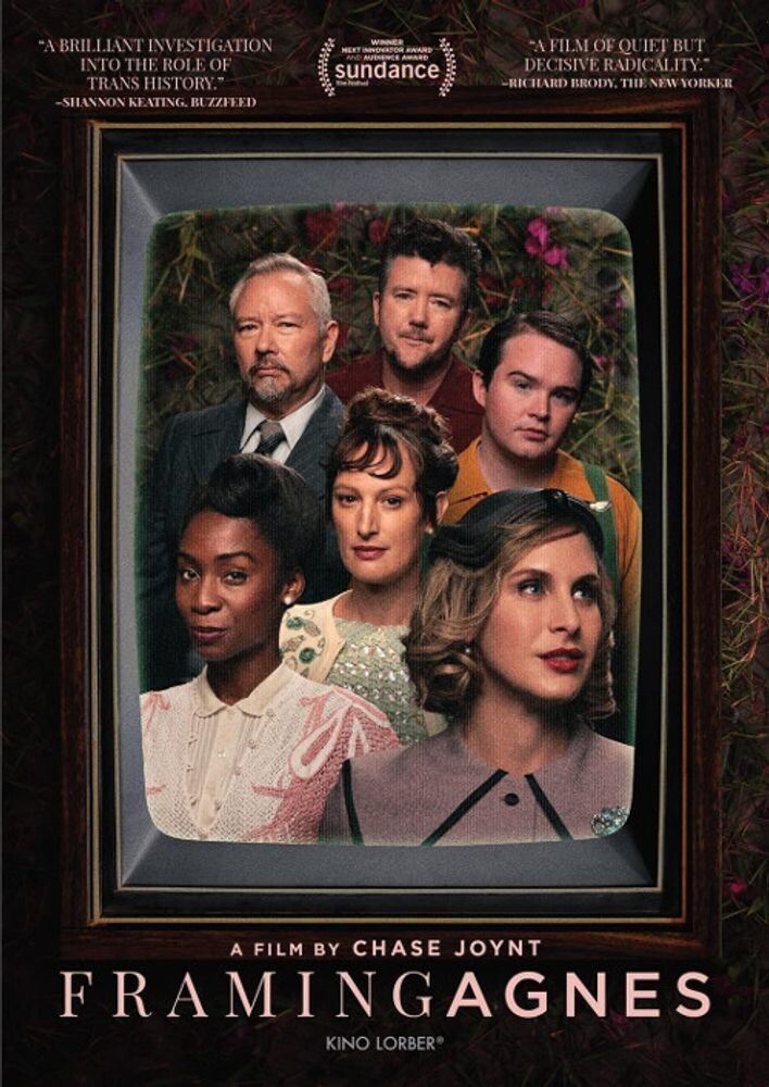 

Диск DVD Framing Agnes [2022]