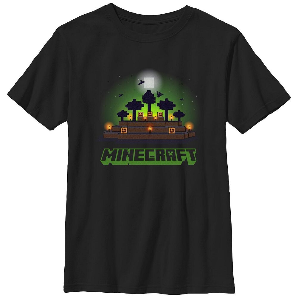 

Футболка Minecraft для мальчиков 8–20 лет с рисунком тыквы и ночи Licensed Character, черный