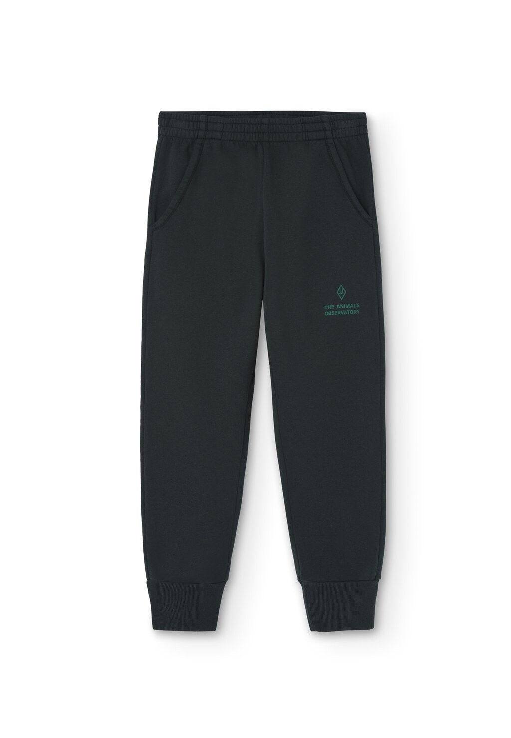 

Спортивные брюки DRACO UNISEX THE ANIMALS OBSERVATORY, зеленый
