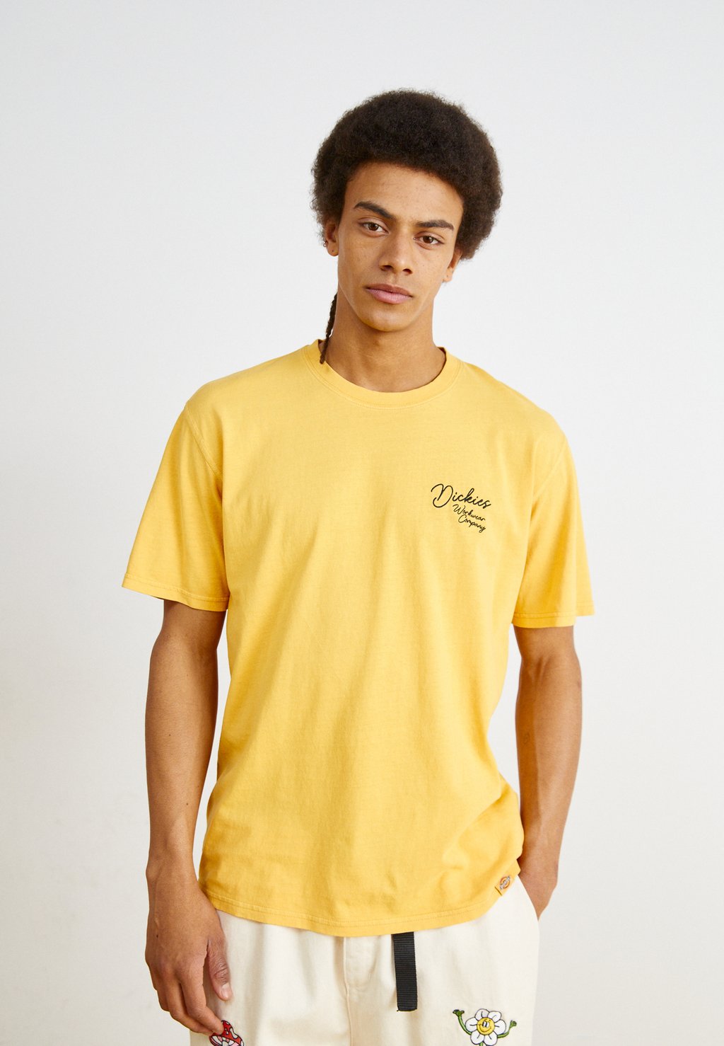 

Футболка с принтом ROPE CHEST LOGO TEE Dickies, желтый