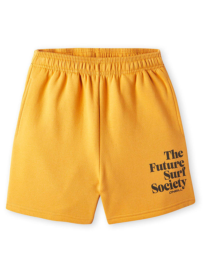 

Спортивные штаны Future Surf O'Neill, оранжевый