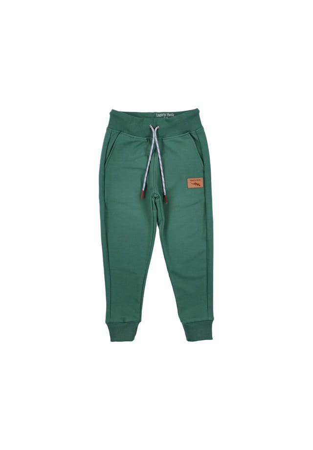 

Спортивные штаны осень зима Lagarto Verde, зеленый