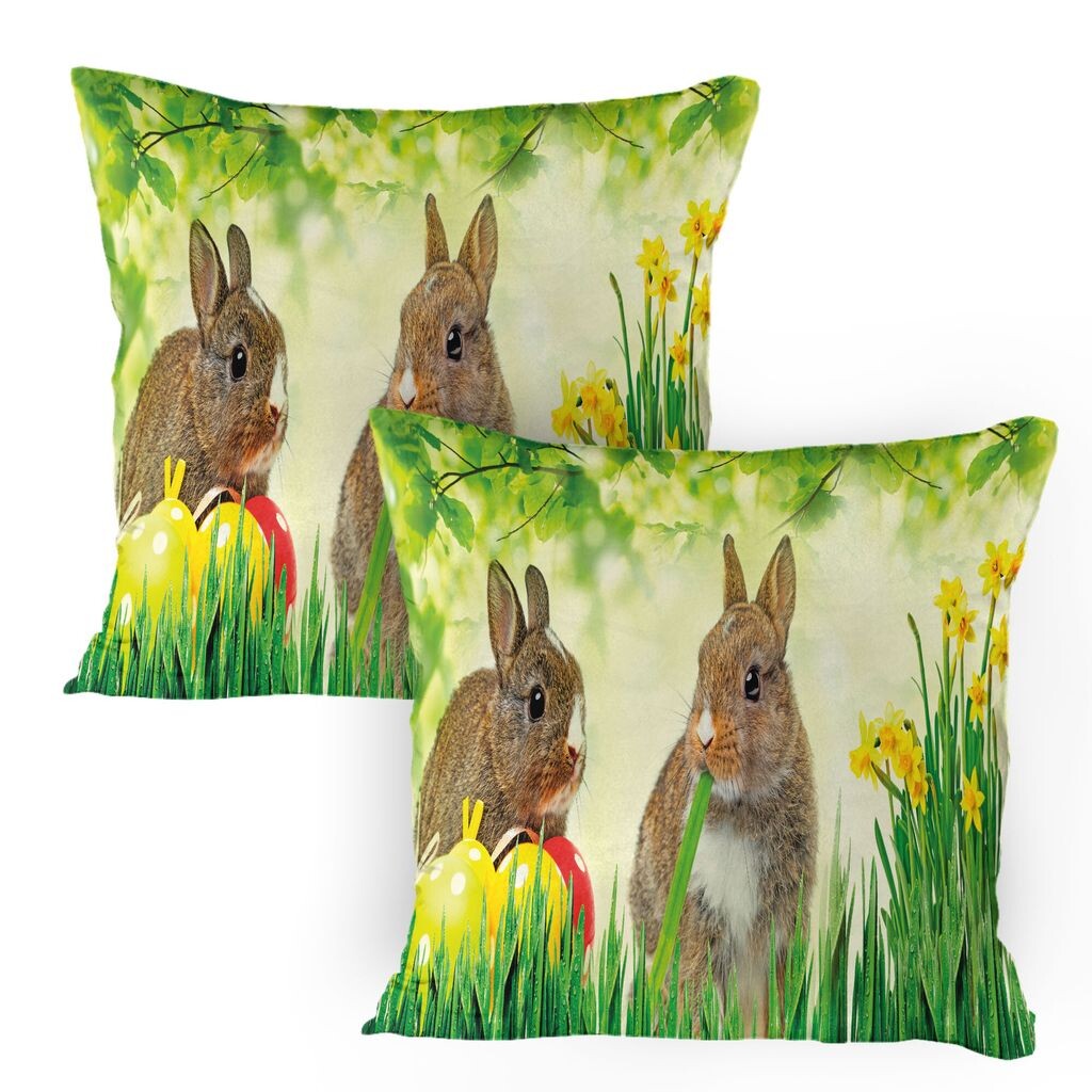 

ABAKUHAUS Чехол на подушку «Пасхальный кролик», упаковка из 2 шт., Коричневый Litte Rabbit Meadow Green Grass Весенняя пасхальная фотография, Чехол для подушки с декоративным принтом, 80 x 80 см, Разноцветный зеленый папоротник