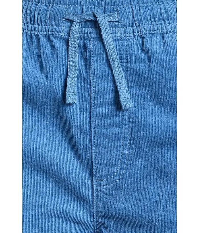 Шорты из вельвета Taxer Cord Shorts Quiksilver Kids, Riviera — фото 3