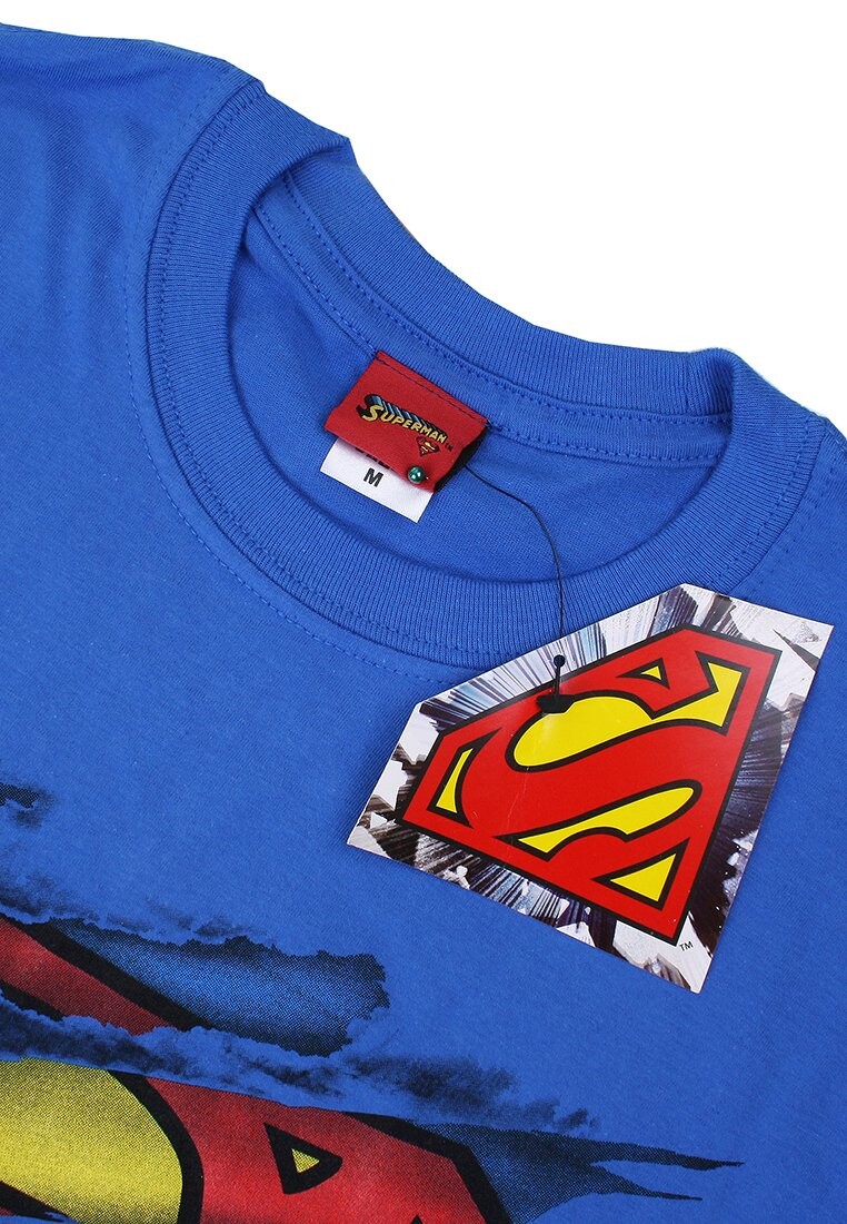 

Футболка с принтом SUPERMAN TORN DC COMICS ORIGINALS, синий