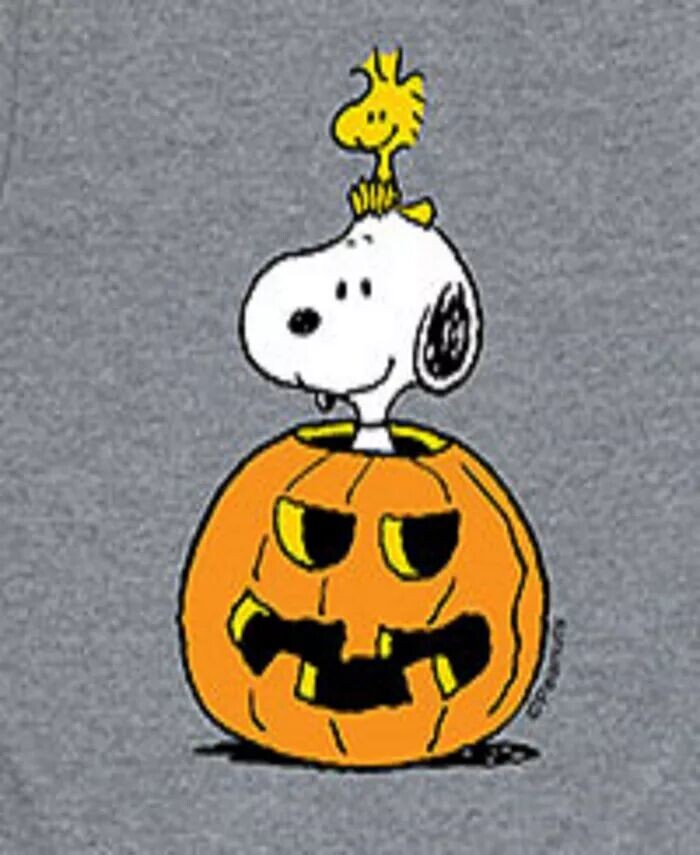 Футболка Big Boys Peanuts с рисунком Снупи и тыквы Hybrid, серый — фото 3