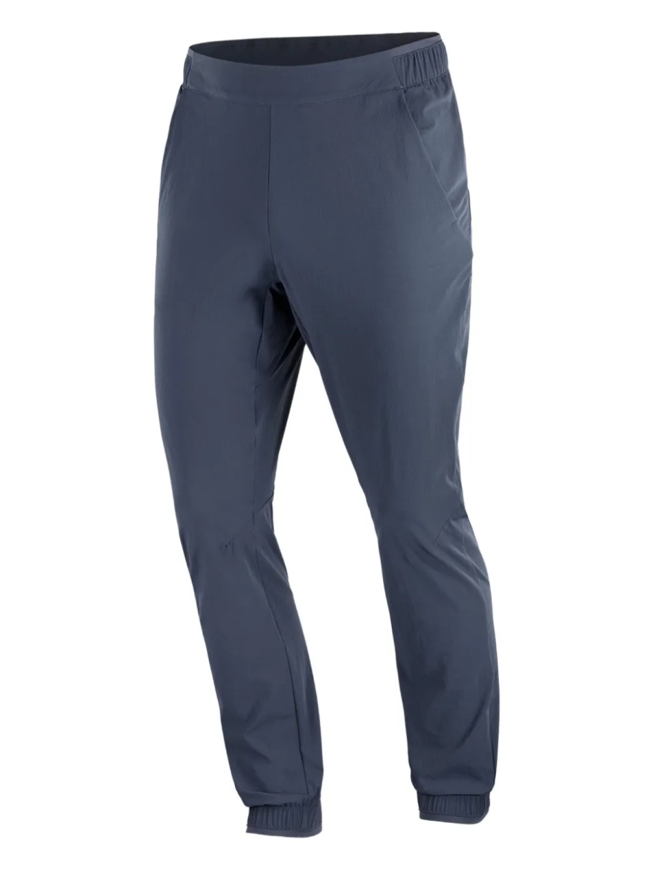 

Зауженные спортивные брюки Wayfarer Salomon, синий