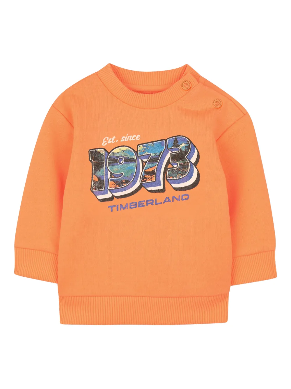 

Толстовка с графичным принтом Timberland Kids, оранжевый