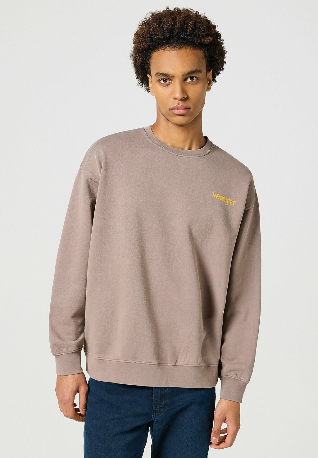 

Толстовка CREWNECK SWEATSHIRT Wrangler, светло-серый
