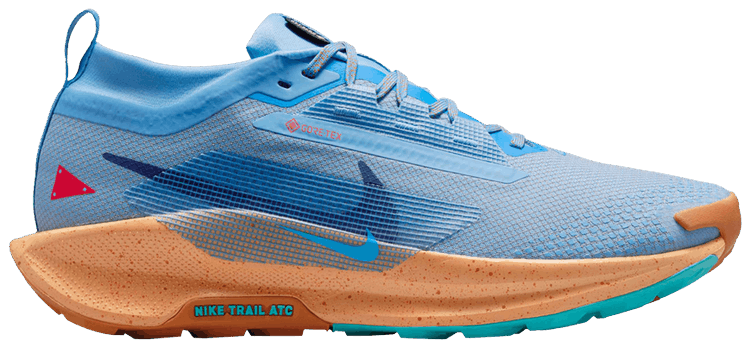 

Кроссовки Nike Pegasus Trail 5 GORE-TEX 'Blue Beyond Copper Moon', синий