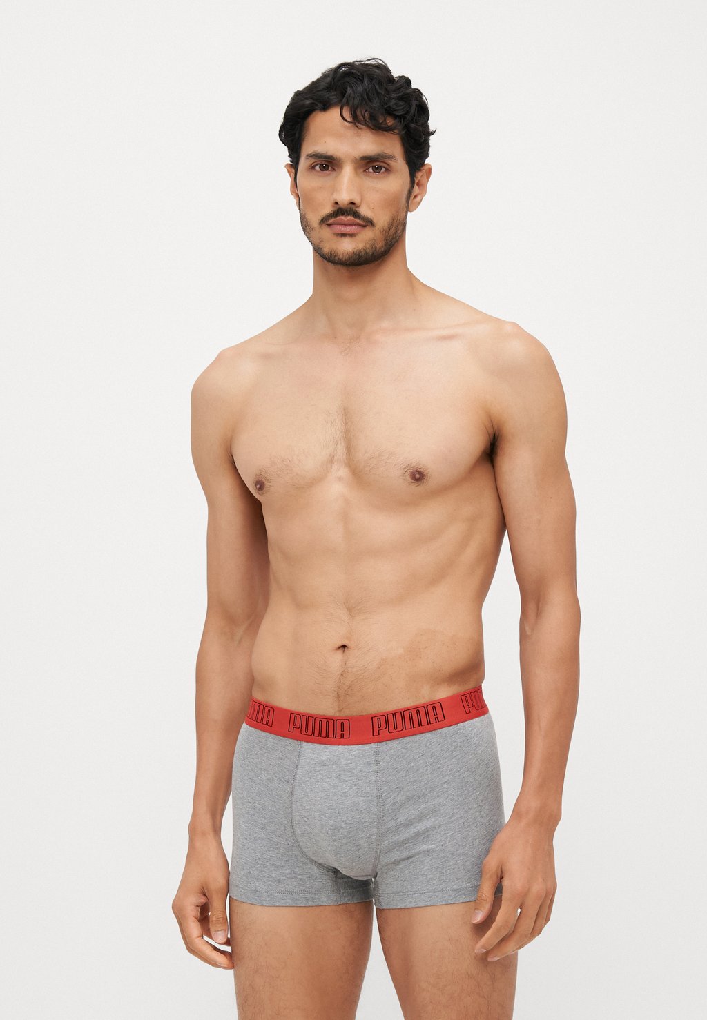 

Брюки MEN EVERYDAY TRUNKS 2 PACK Puma, мультиколор