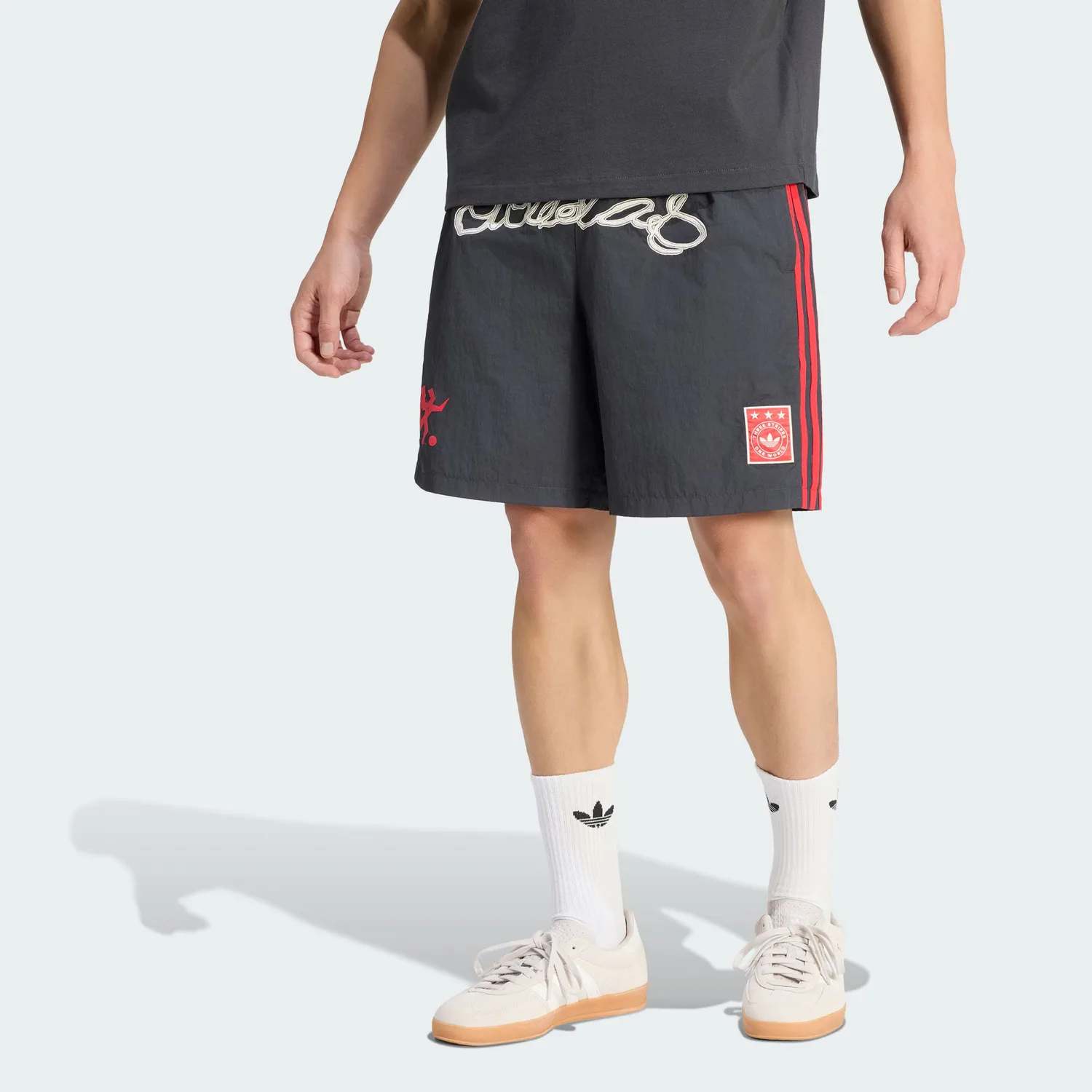 Спортивные шорты мужские Adidas Originals, Graphite Black/Pure Gemstone Red — фото 4
