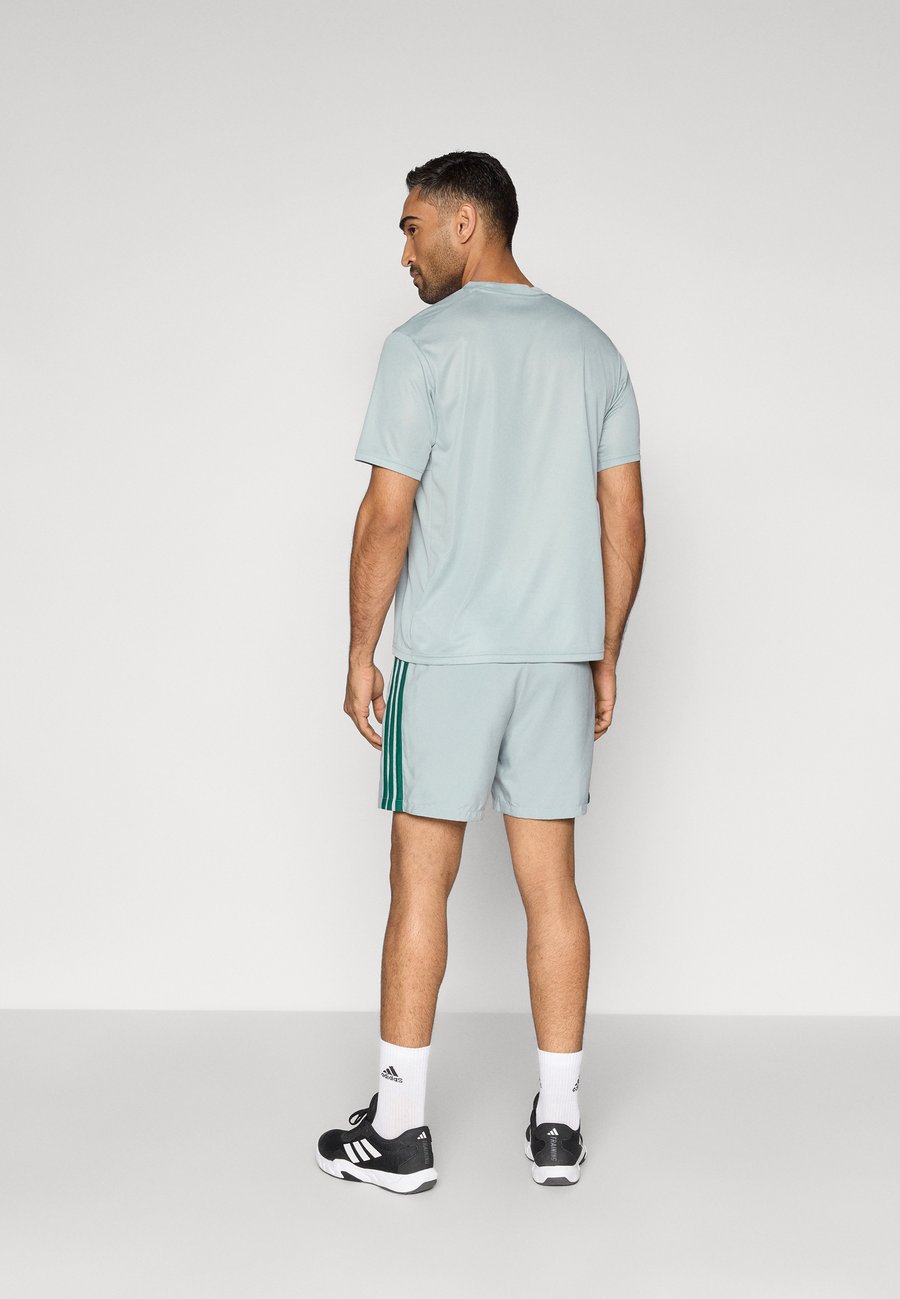 Спортивные шорты Adidas Sportswear CHELSEA, Sage/Collegiate Green/Light Green — фото 3