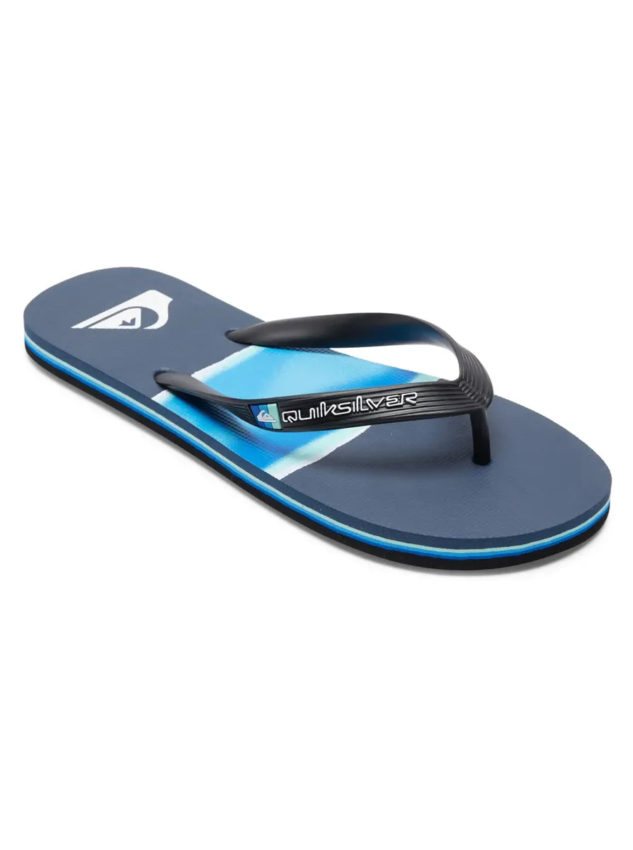 

Сандалии Quiksilver "Molokai Airbrushed", синий