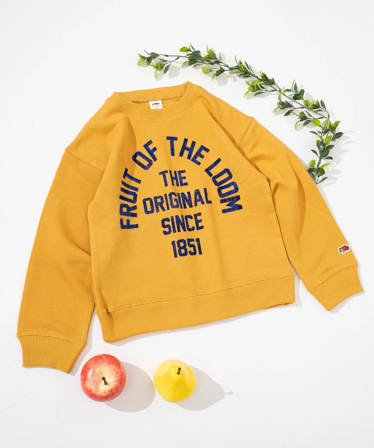Свитшот детский с логотипом Fruit of the Loom, хлопок, чёрный — фото 4