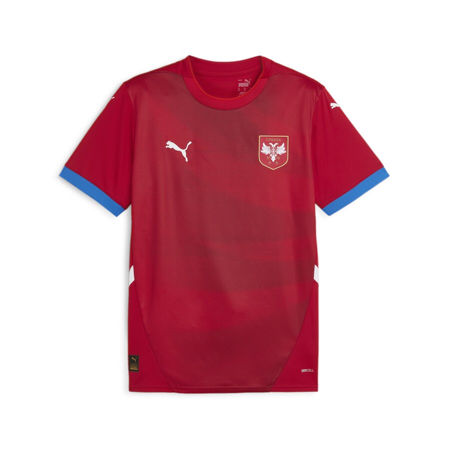 

Джерси Puma SERBIEN 2024, цвет Red/Cherry Red