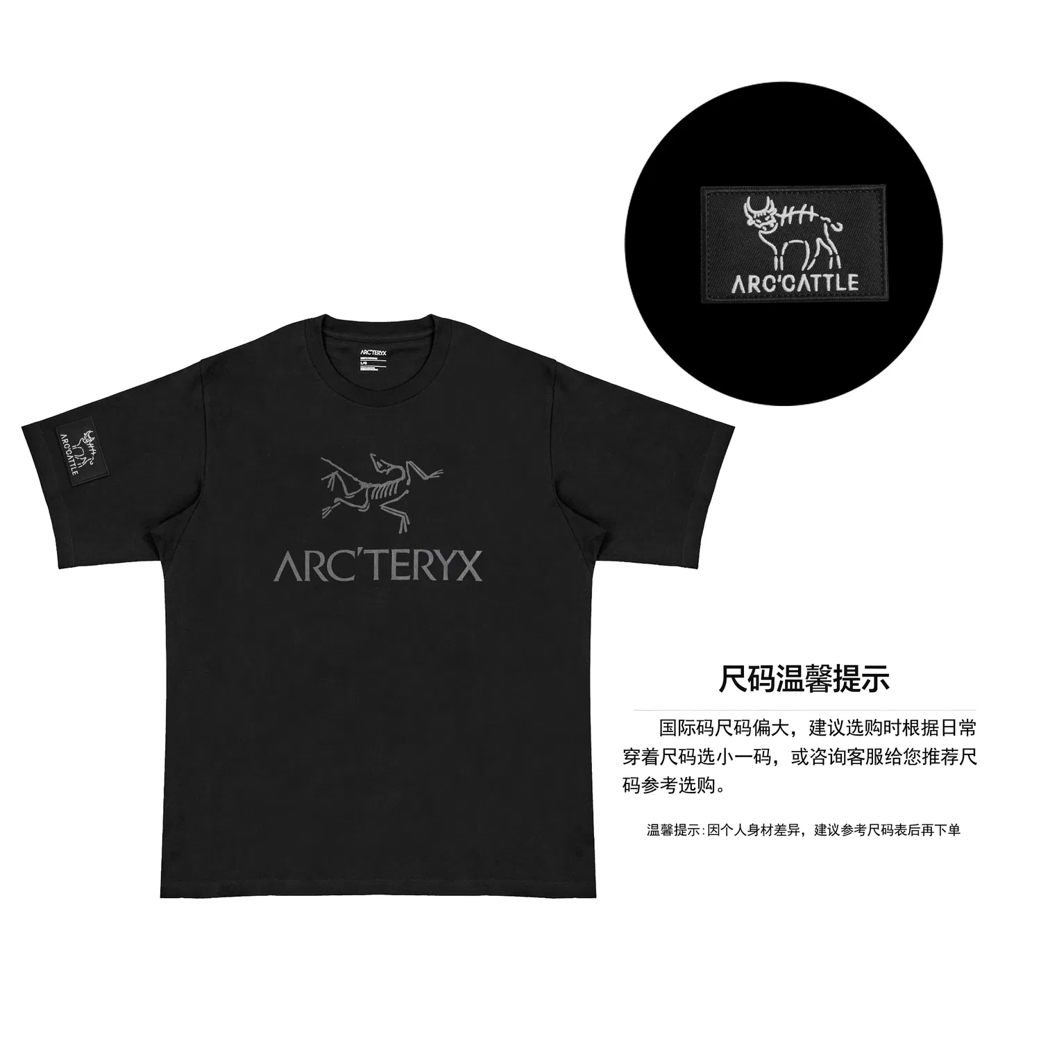 Футболка с логотипом Arcteryx IONIA Men's Black — фото 3